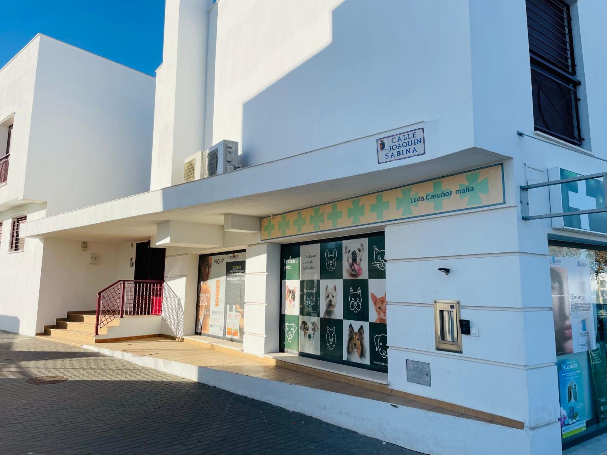 科尼尔-德拉弗龙特拉Atico Premium Conil Con 2 Terrazas, Parking, Piscina, Aire Ac Y Wifi -Solo Familias Y Parejas-公寓 外观 照片